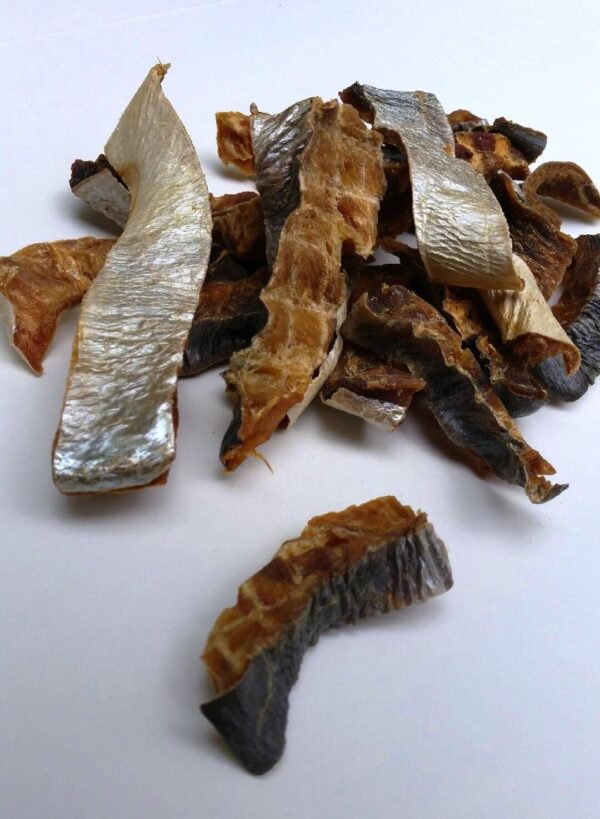 dried queensfish dog treat