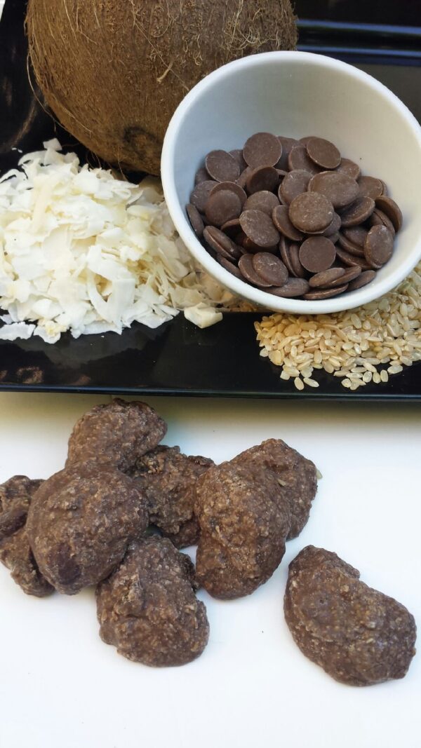 carob, rice and coconut treat for horses and dogs