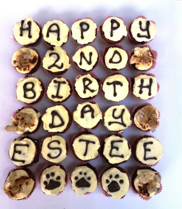 cup cakes for dogs