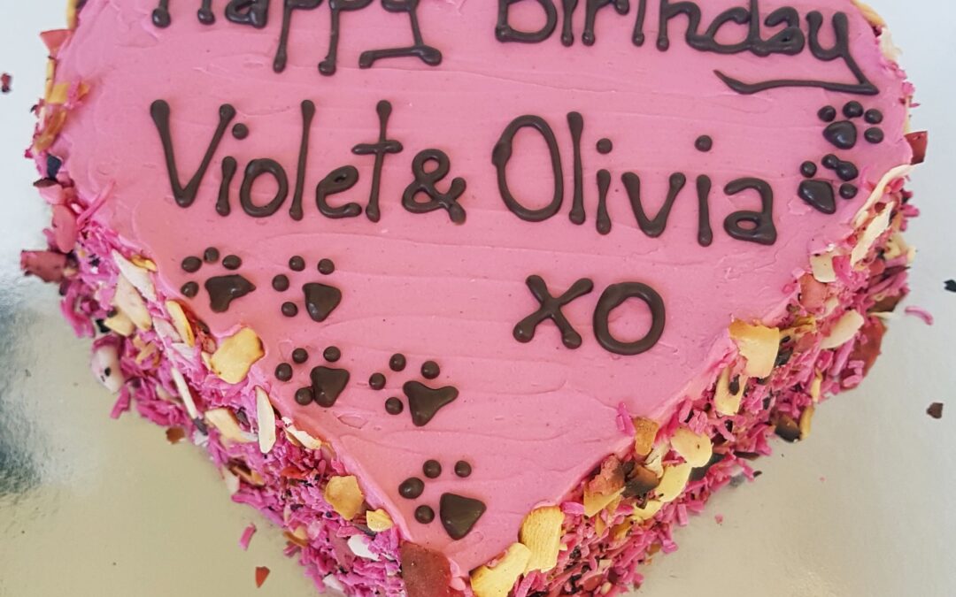 Best Dog Birthday Cakes
