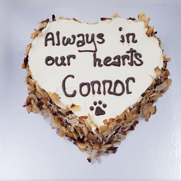 carob heart cake with coconut and almond icing